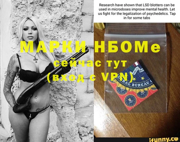 гашик Пересвет