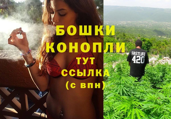 гашик Пересвет